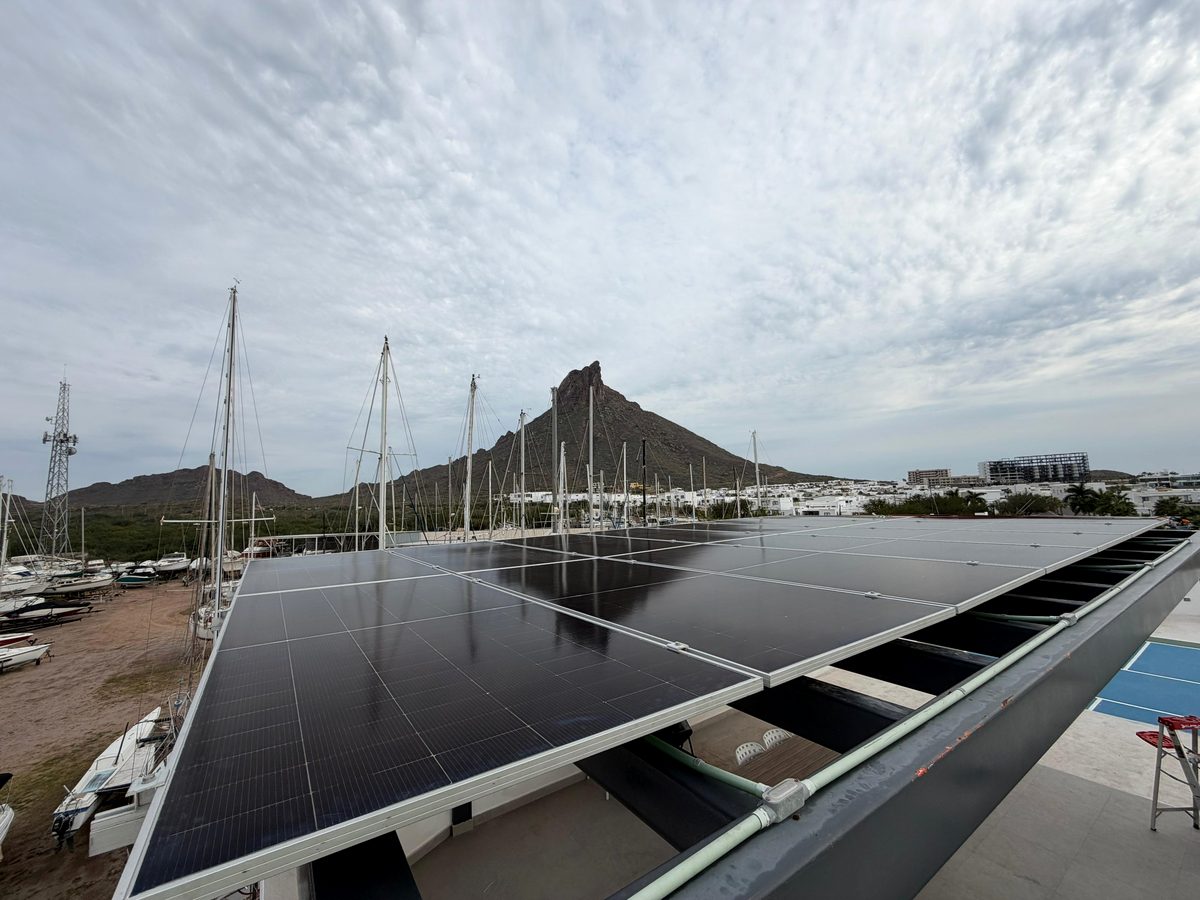 Marina Real, San Carlos